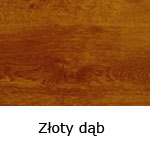 złoty dąb