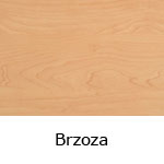 brzoza